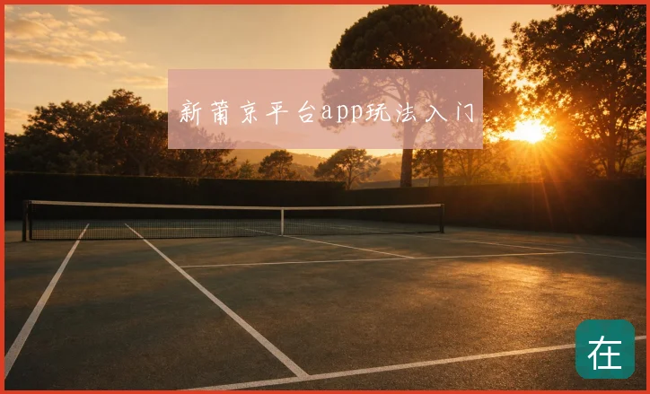 新莆京平台app玩法入门